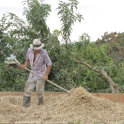 Sustainable territorial development in Mapiripán Image 4