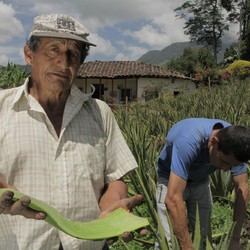 Sustainable territorial development in Mapiripán Image 5