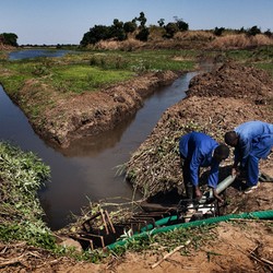 Sécurité alimentaire au Malawi Image 1