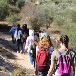 In Palestina l’inziativa Walk &amp; Talk riunisce i giovani per  ... Immagine 1